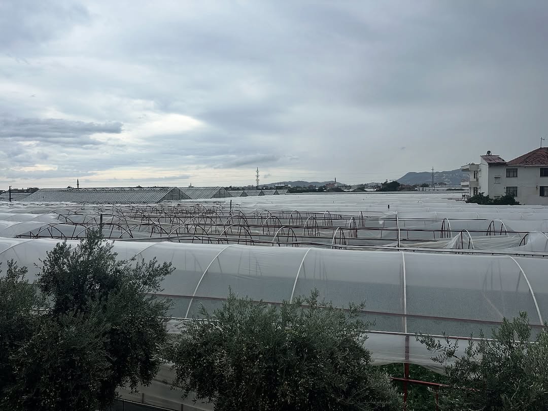 Demre'de Hortum Felaketi: Belediye Ekipleri Sahada