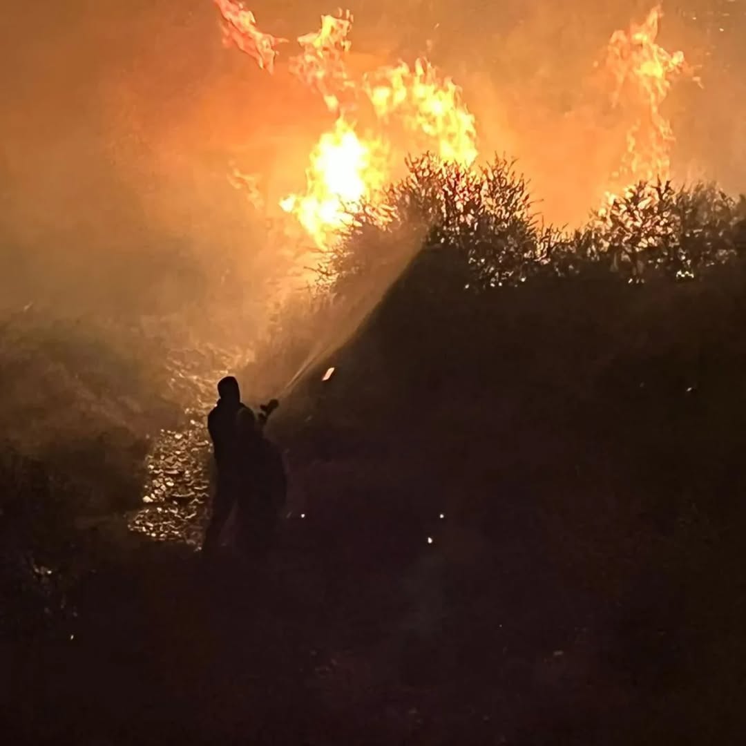 Antalya'nın Serik İlçesinde Orman Yangını