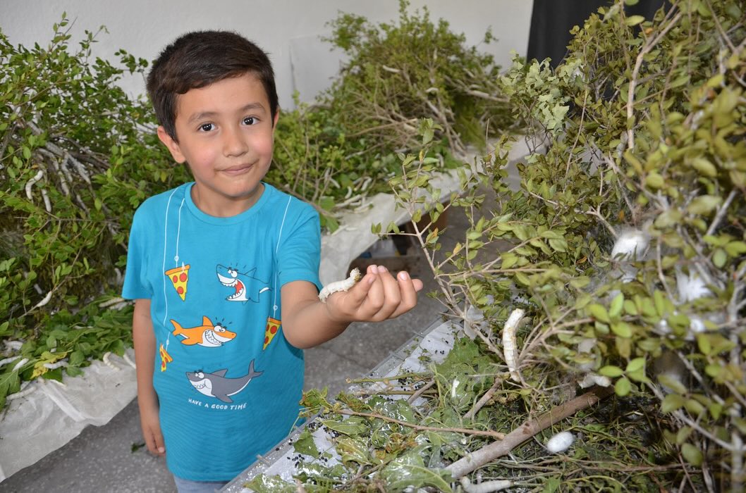 Antalya'da Çocuklar İpek Böceğiyle Tanıştı: İpek Böcekçiliği Eğitimleri Devam Ediyor