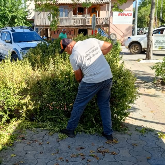 Serik'te Park ve Bahçeler Müdürlüğü'nden Kaldırım ve Orta Refüj Bakım Çalışmaları