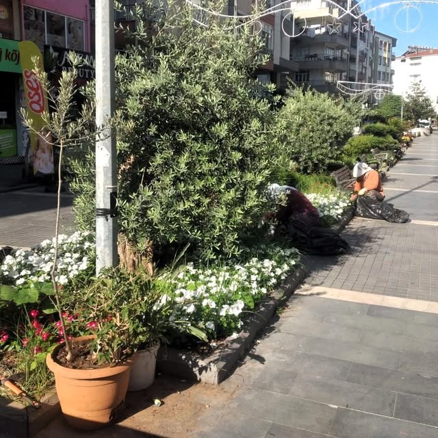 Serik Belediyesi Park ve Bahçelerde Bakım Çalışmalarına Devam Ediyor