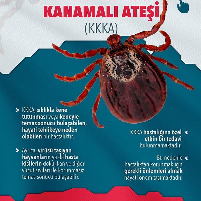 Antalya'da Kırım Kongo Kanamalı Ateşi (KKKA) Hakkında Bilgilendirme
