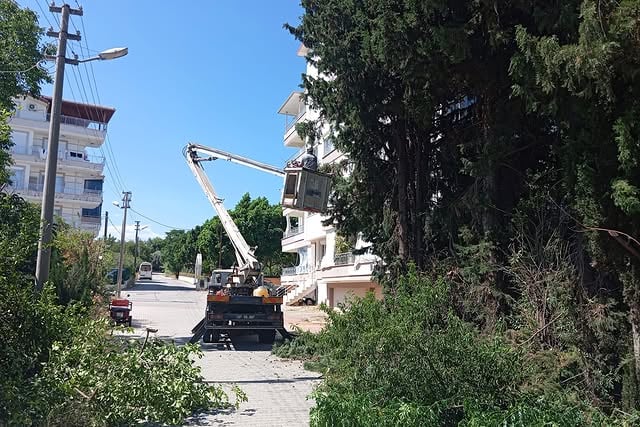 Antalya Serik'te Trafik Güvenliği İçin Ağaç Budama Çalışmaları Devam Ediyor