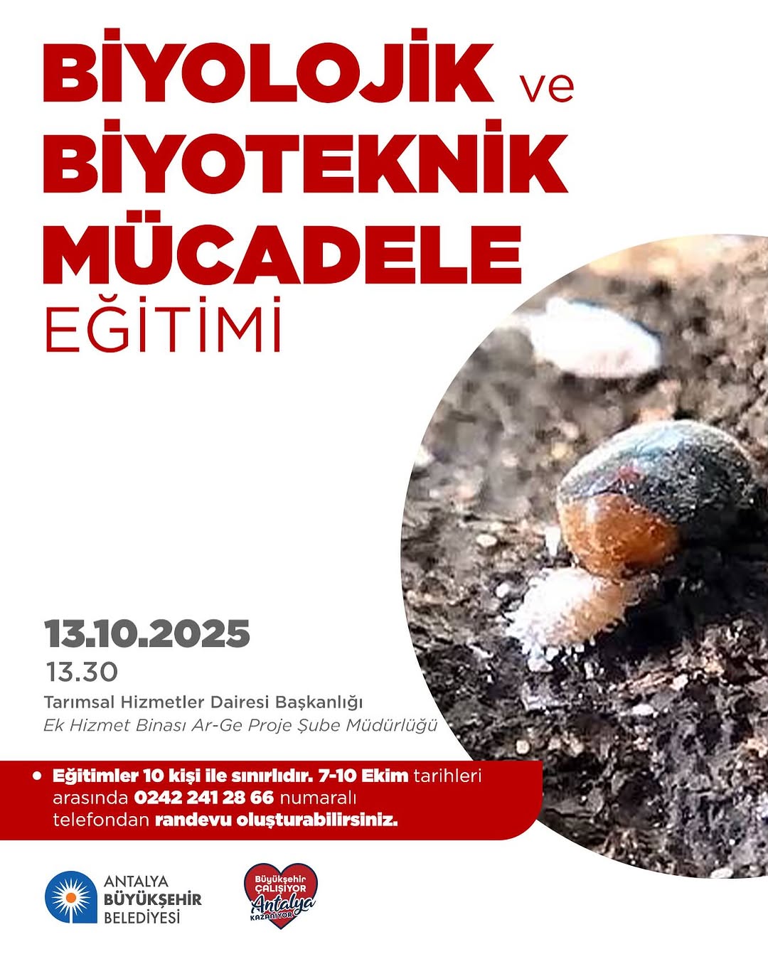 Antalya'da Biyolojik ve Biyoteknik Tarım Mücadelesi Eğitimi Düzenleniyor