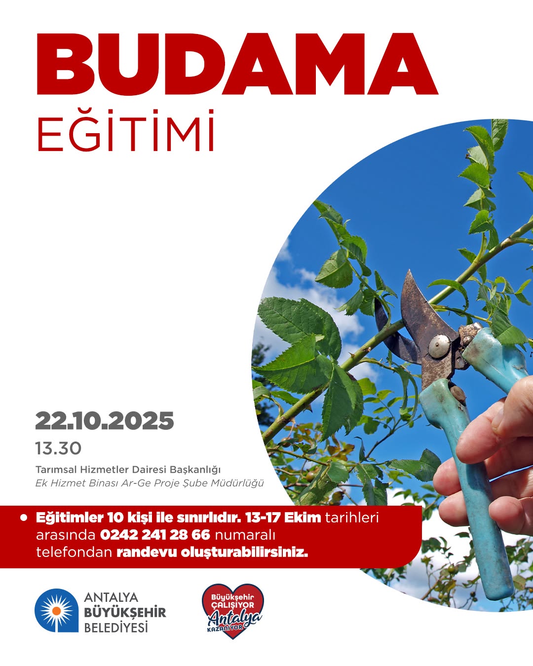 Antalya'da Üreticilere Özel Budama Eğitimi Düzenleniyor