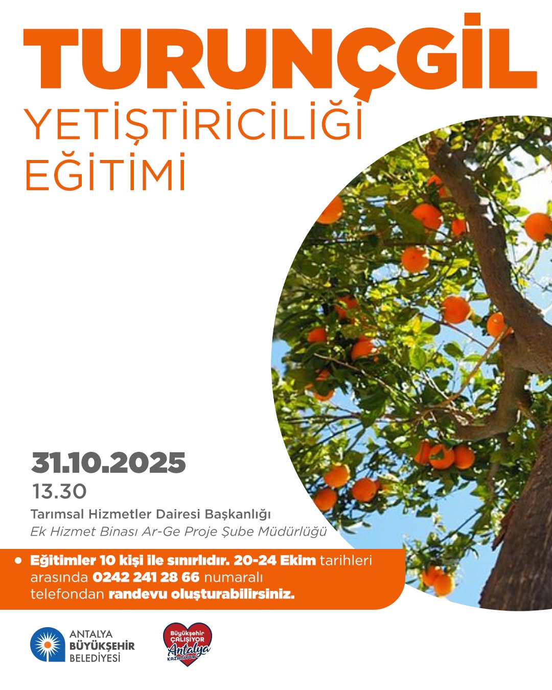 Antalya'da Turunçgil Yetiştiriciliği Eğitimi Düzenleniyor