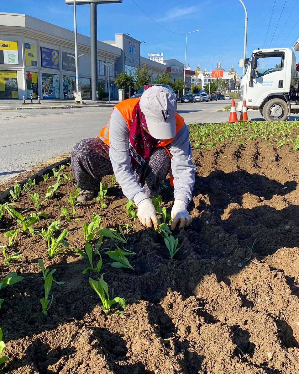 Manavgat'ta Kışlık Çevre Düzenleme ve Temizlik Çalışmaları Tüm Hızıyla Sürüyor