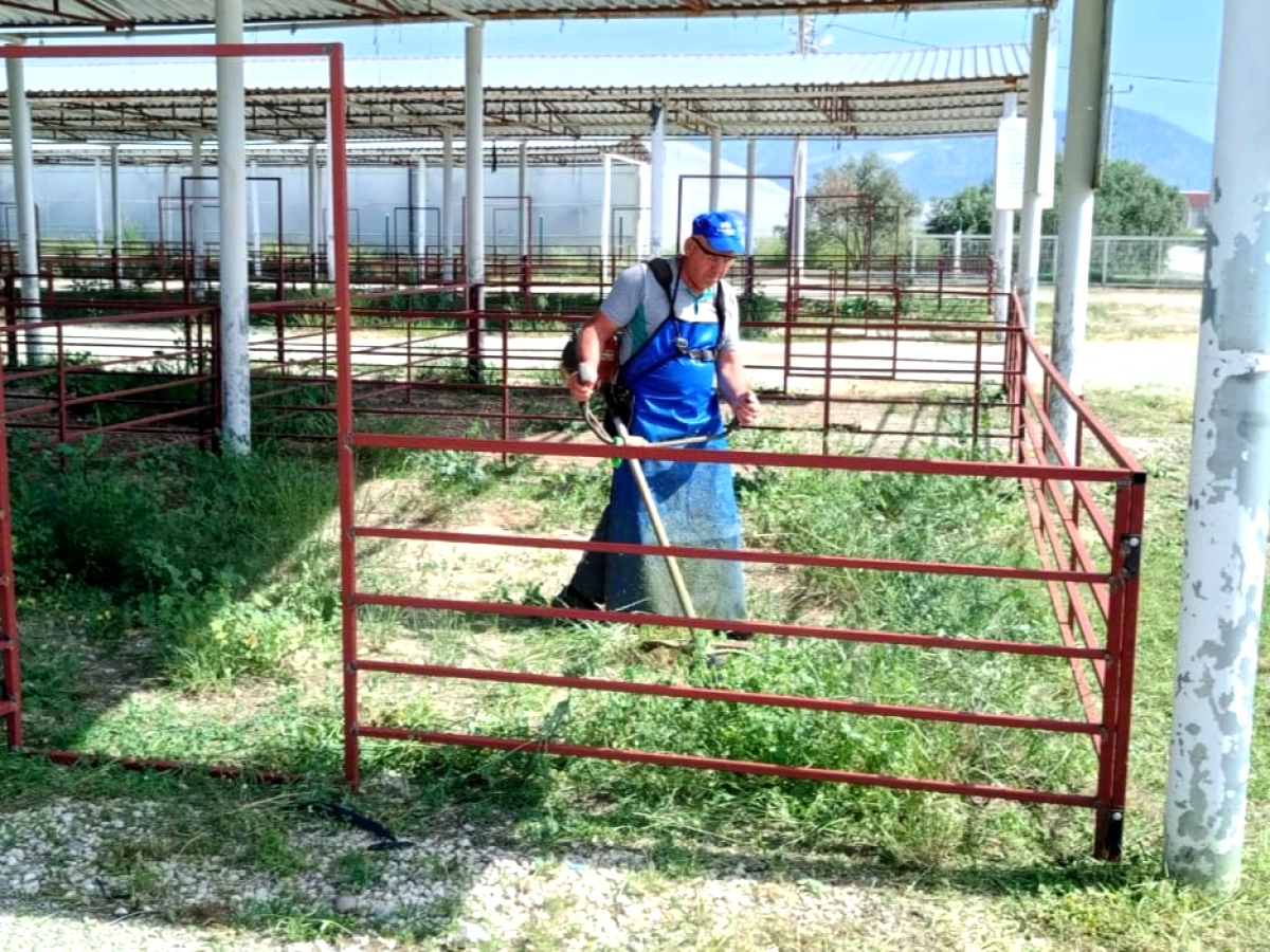 Serik'te Kurban Bayramı Öncesi Hayvan Pazarı Temizleniyor