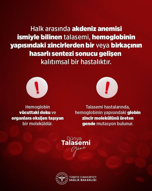 Akdeniz Anemisi (Talasemi) Farkındalığı Artırılıyor: Dünyası Kutlanıyor