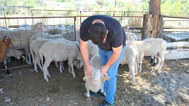 Antalya Kemer'de Kurban Bayramı Denetimleri Başladı