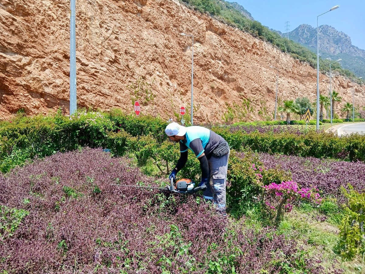 Antalya Kaş'ta Yeşil Alanlar Artıyor: Parklar Yenileniyor, Kent Mobilyaları Yerleştiriliyor
