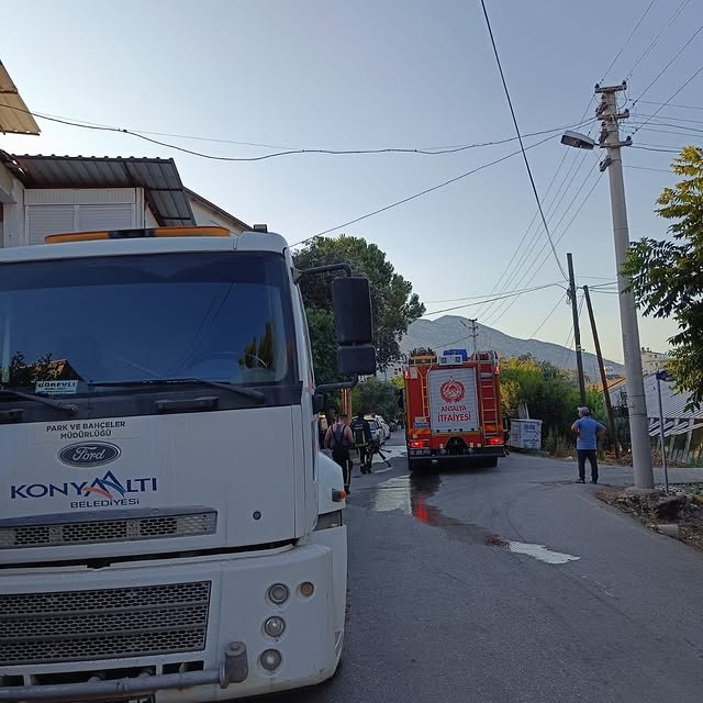 Antalya Konyaaltı'nda Gökçam Mahallesi'nde Yangın: Belediyeden Destek Açıklaması