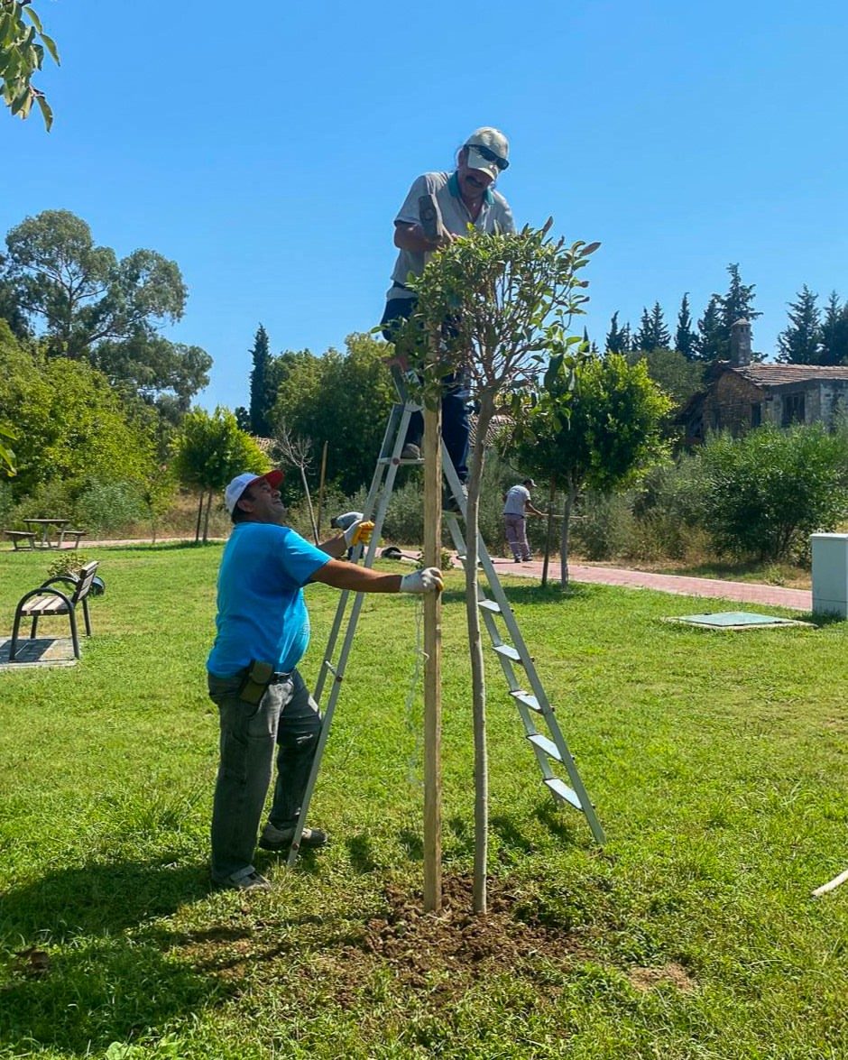 Manavgat'ta Yeşil Alana Yatırım Devam Ediyor