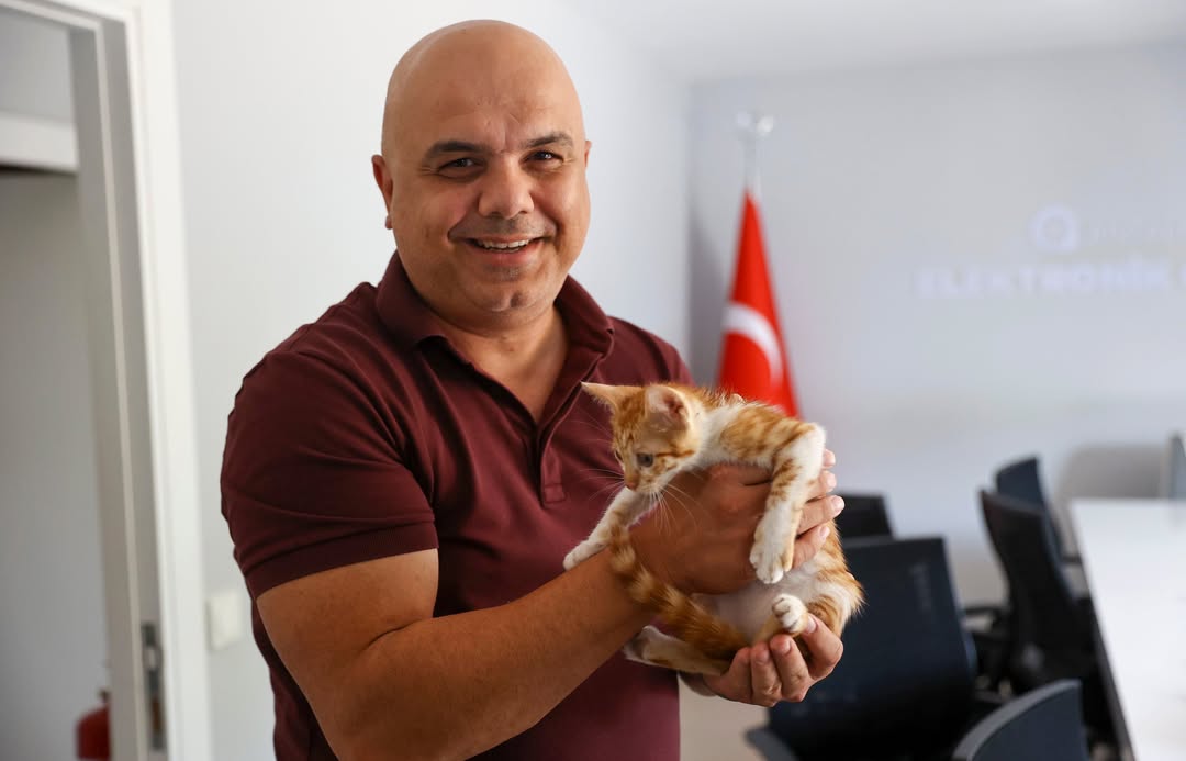 Antalya'da Boğaçay'a Düşen Yavru Kedi Kurtarıldı