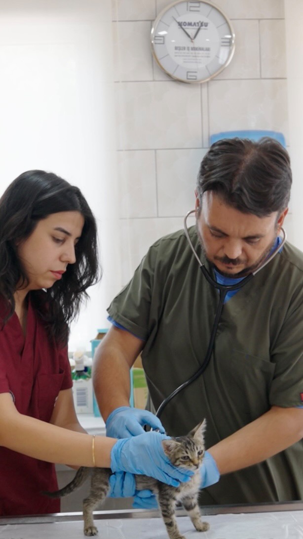 Antalya Kepez Belediyesi, Sokak Hayvanlarına Yıl Boyu Destek Veriyor