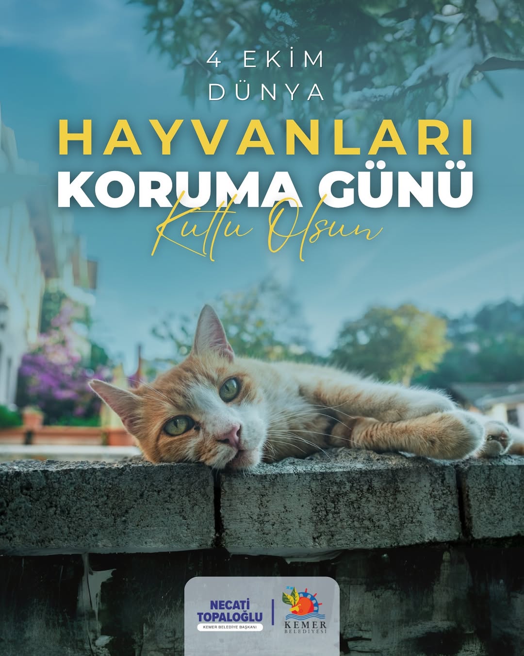 Kemer Belediyesi'nden 4 Ekim Hayvanları Koruma Günü Mesajı